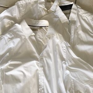 Burberry London Dress Shirts